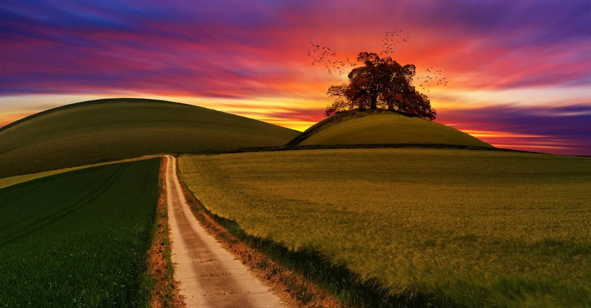 Meilleur PC portable 2026 : guide complet pour choisir le bon modèle